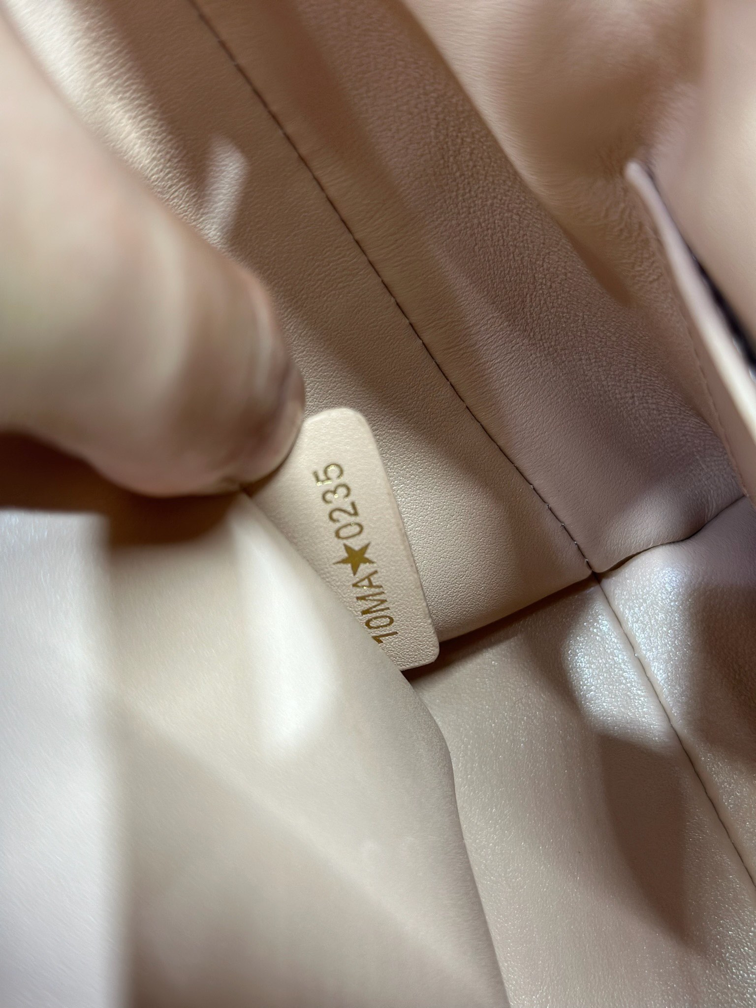 Mini Dior Caro Bucket Bag