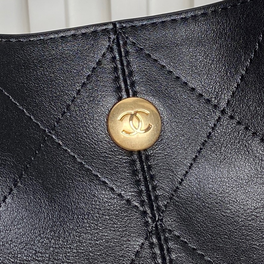 Chanel Classic 25A Métiers d'Art Hobo Bag