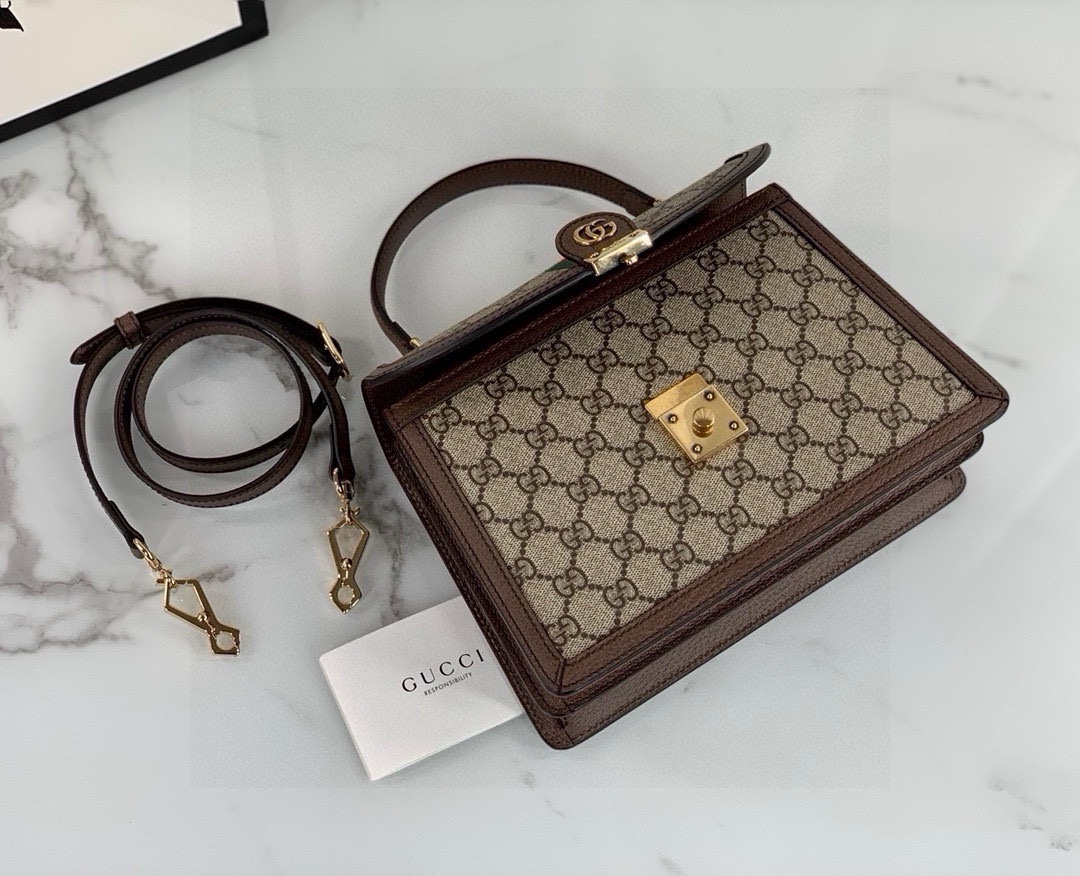 Gucci Ophidia series small handbag
