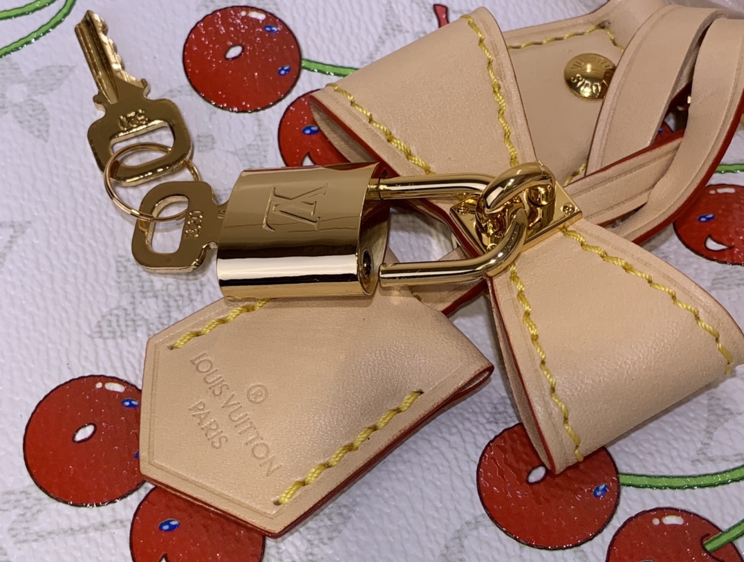 LV Speedy Soft 30 Handbag